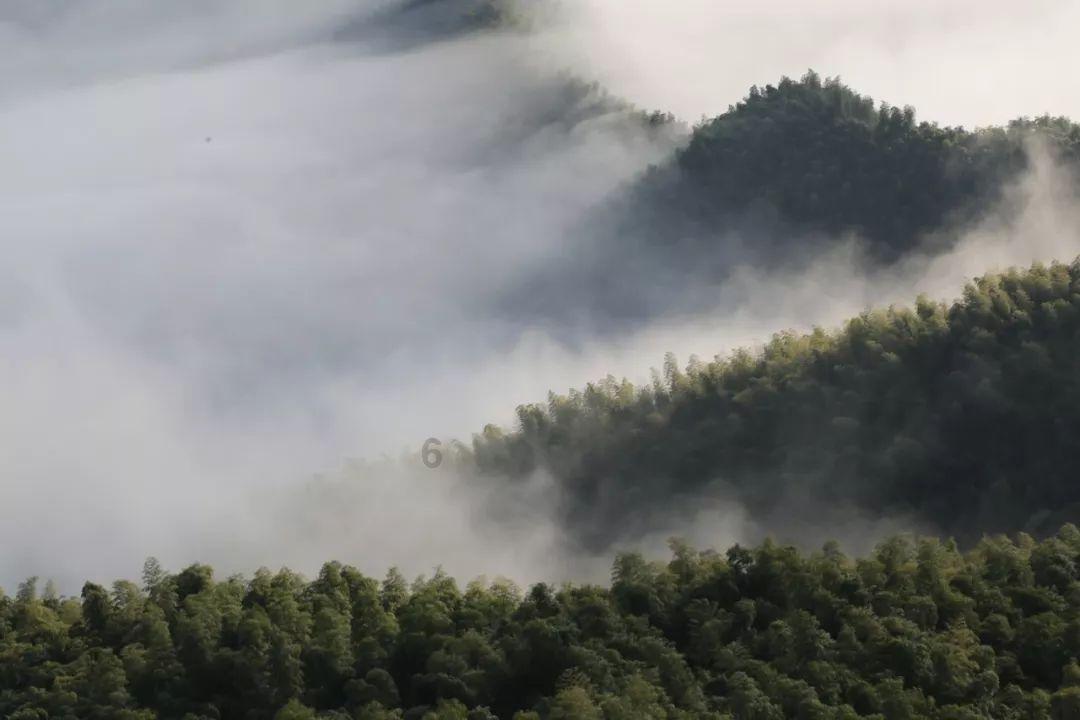 钟祥东桥组织观摩美丽乡村示范点